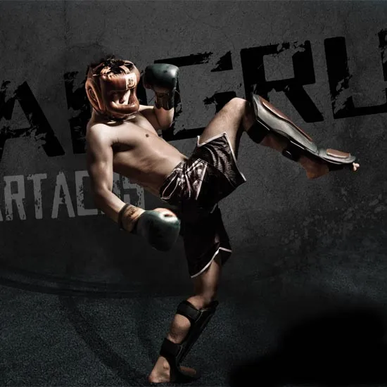 Artes marciales mixtas