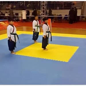 taekwondo