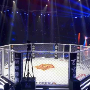 vòng đấm bốc