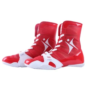 sepatu tinju