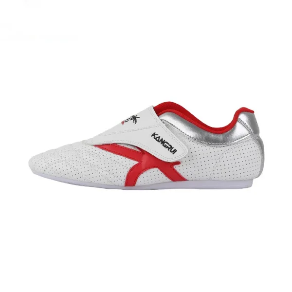 taekwondo shoes