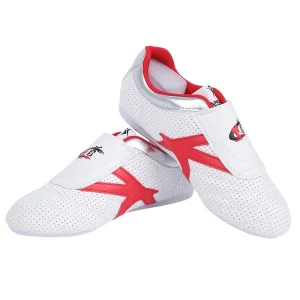 sapatos de taekwondo