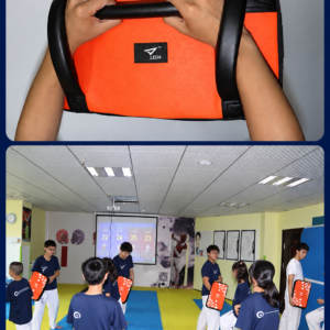 Electronic target for taekwondo and martial arts training