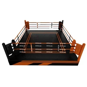 võ đài đấm bốc
