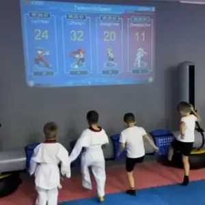Electronic kick bridge bag for martial arts training
