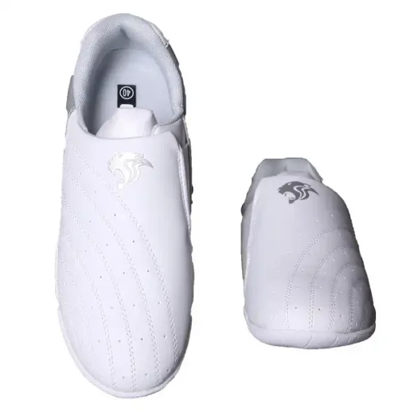 taekwondo shoes