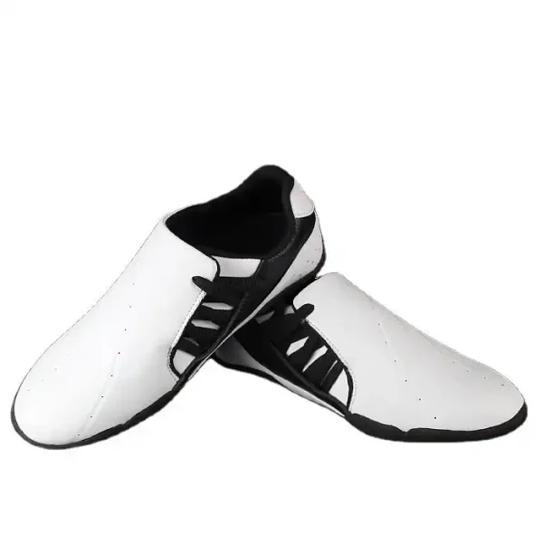 taekwondo shoes