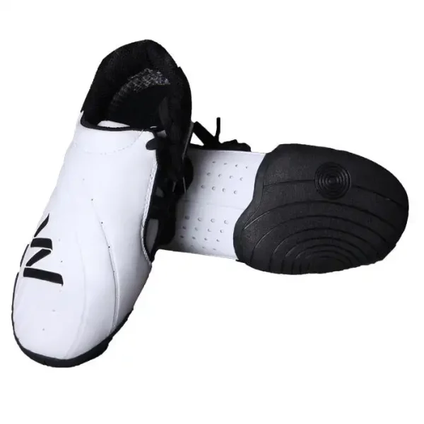 taekwondo shoes