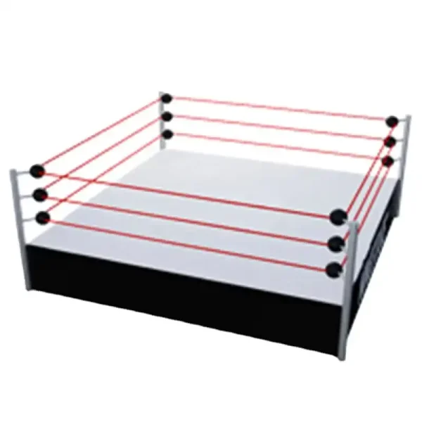 wrestling ring